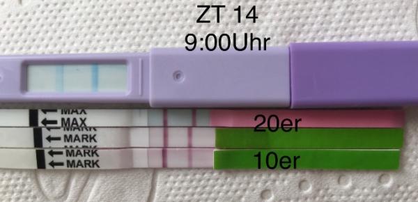 Bild zu 