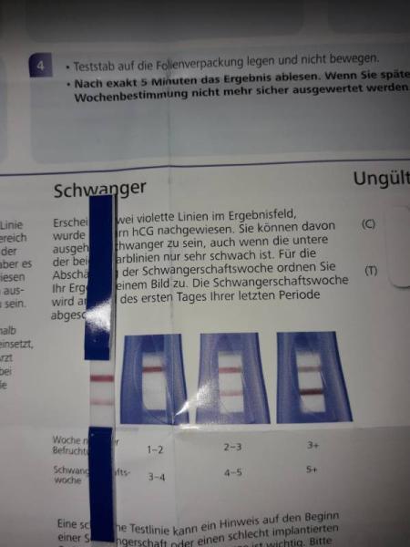 Bild zu Wochenbestimmung - Forum für Februar - Mamis