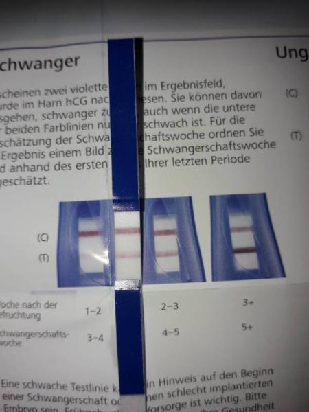 Bild zu 