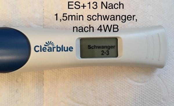 Bild zu Bin noch ganz von der Rolle.. - Forum für Februar - Mamis