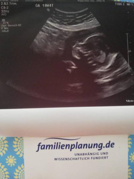 Bild zu 2 Ultraschall und überglücklich - Forum für Februar - Mamis