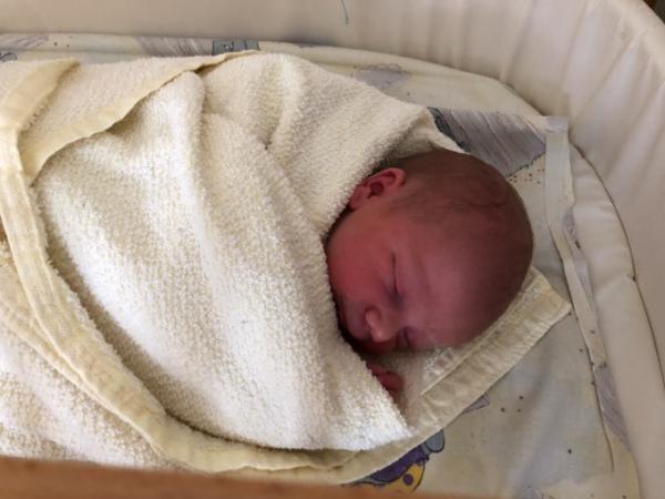 Bild zu Noah Emil ist schon da - Forum für Februar - Mamis