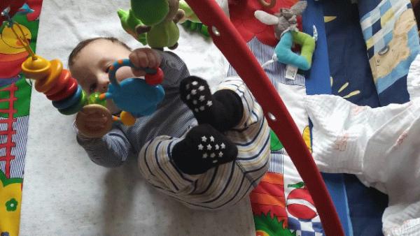Bild zu