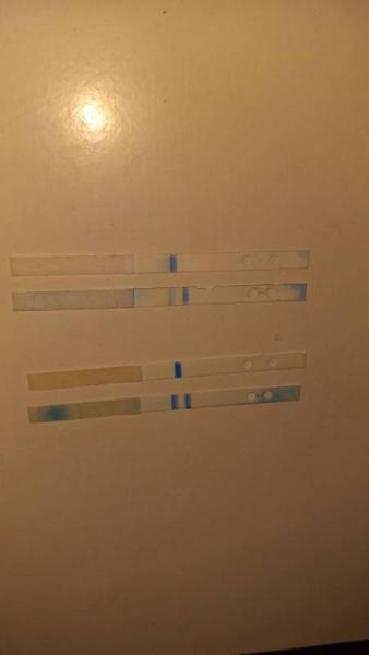 Bild zu Clearblue wochenbestimmung - Forum für Februar - Mamis