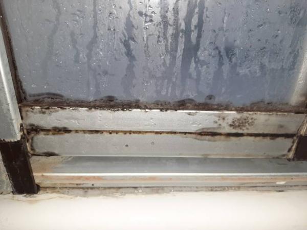 Bild zu Schimmel Dusche/Bad - Forum für Februar - Mamis