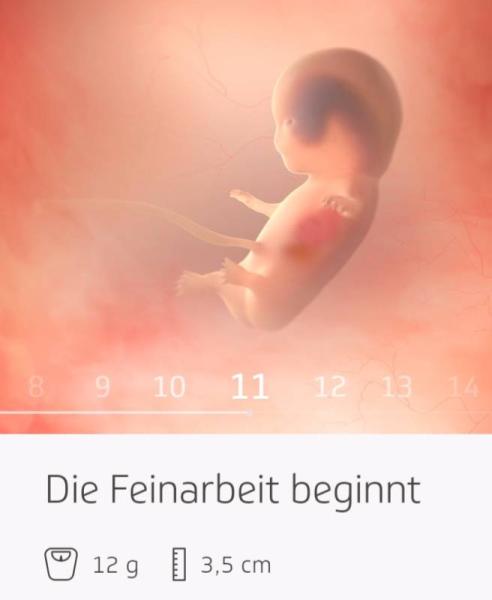Bild zu 
