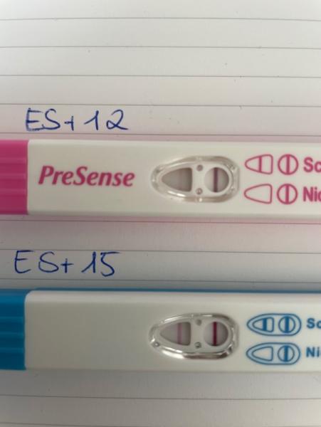 Bild zu Tests… Was sagt ihr? - Forum für Februar - Mamis