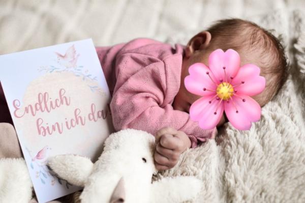 Bild zu Unsere Maus ist am 19.2. geboren - Forum für Februar - Mamis