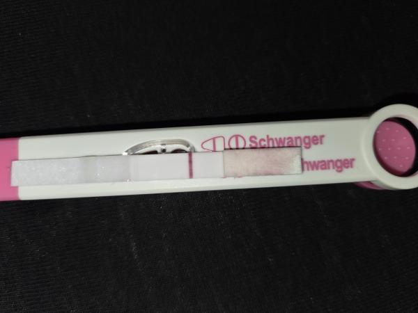 Bild zu 