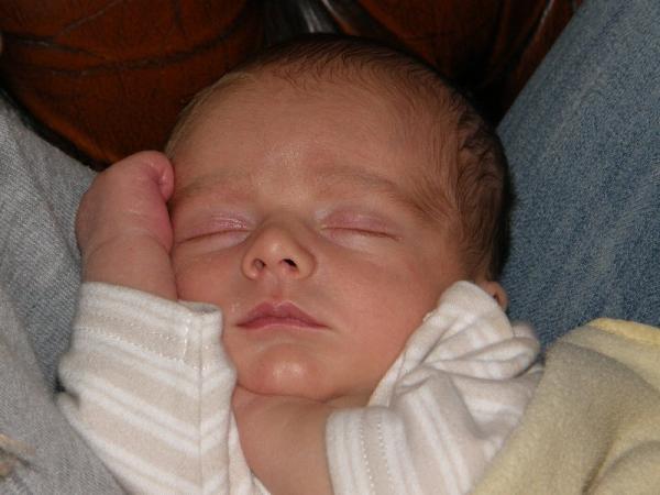 Bild zu Dann mache ich mal den Anfang mit einem neuen Bild - Forum für März - Mamis
