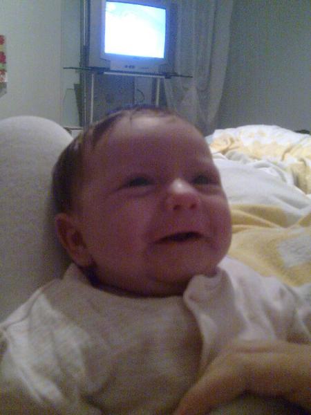 Bild zu 
