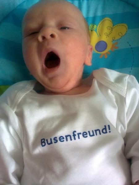 Bild zu 