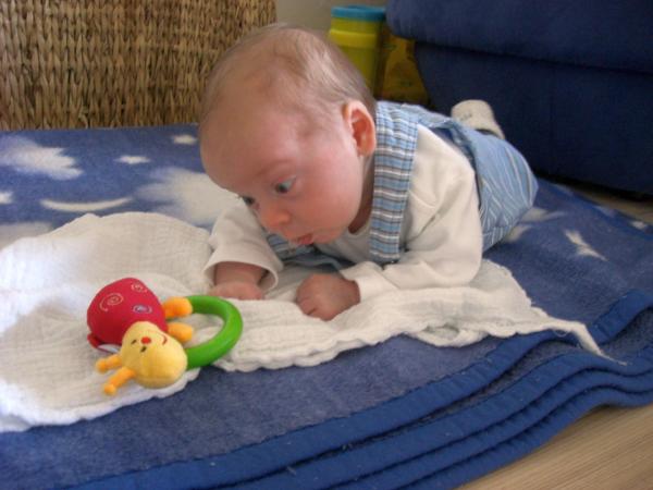 Bild zu 