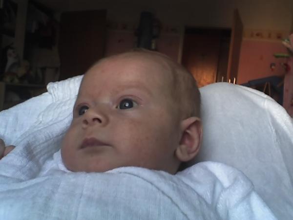 Bild zu 