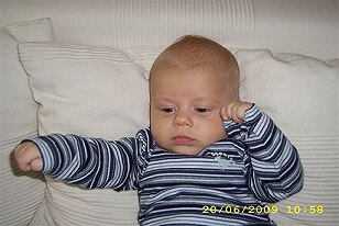 Bild zu 