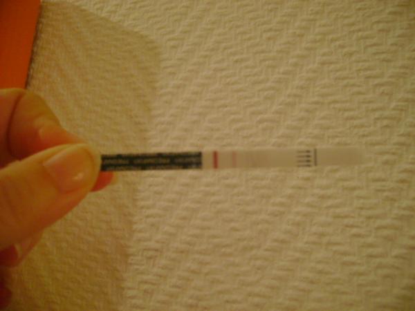 Bild zu Vorsicht mal Hallo sag ....... - Forum für März - Mamis