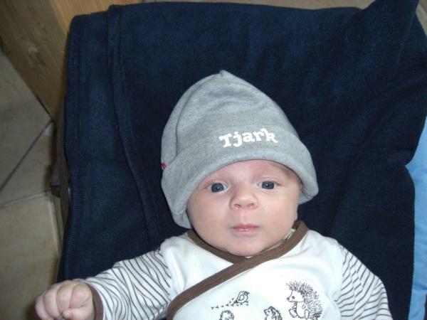 Bild zu 