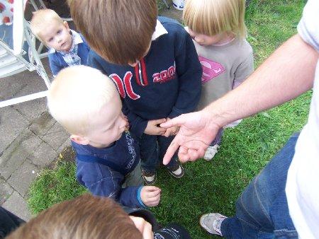 Bild zu