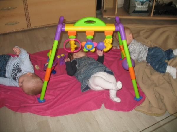 Bild zu 