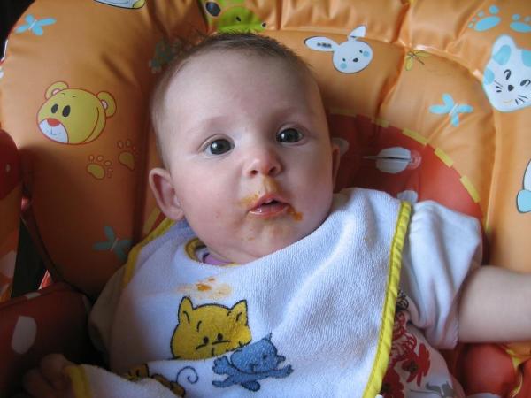 Bild zu Merle´s erste mal Möhren - Forum für März - Mamis