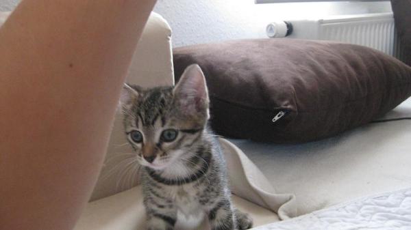 Bild zu Familienzuwachs die zweite!!! - Forum für März - Mamis