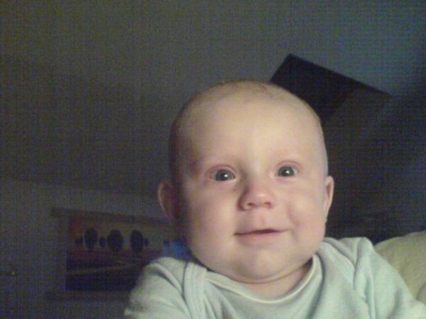 Bild zu 