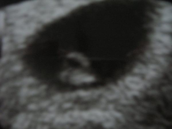 Bild zu Sooooooooo glücklich bin *seufz* - Forum für März - Mamis