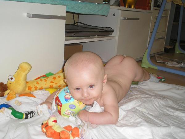 Bild zu 