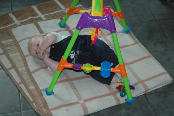 Bild zu 