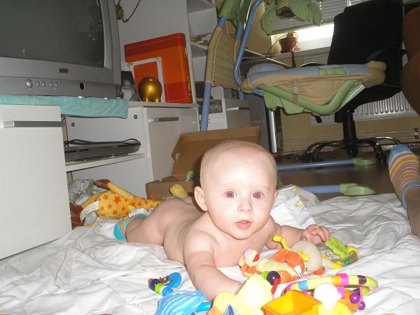 Bild zu 