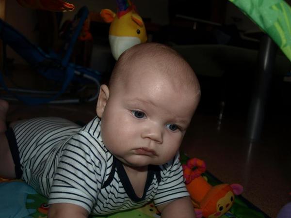 Bild zu 