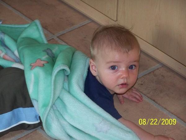 Bild zu