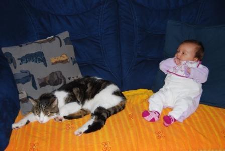 Bild zu 