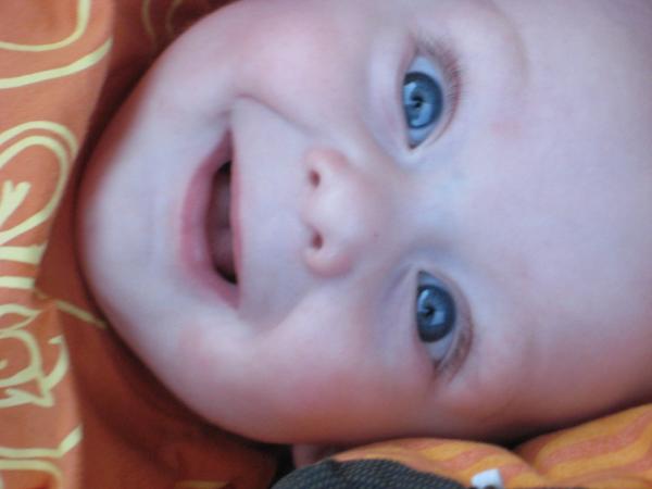 Bild zu 
