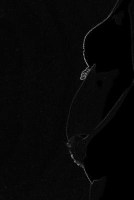 Bild zu Bauchfoto - Forum für März - Mamis