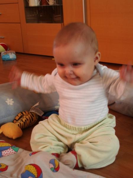 Bild zu 