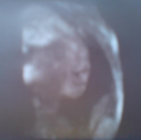 Bild zu Bilder - Forum für März - Mamis