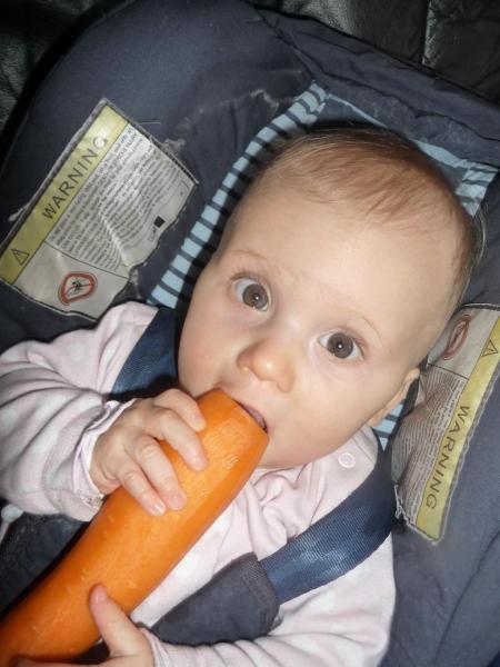 Bild zu Hmm lecker meine erste Karotte zum lutschen *gg* mit Foto :) - Forum für März - Mamis