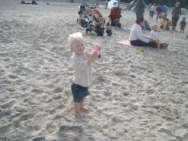 Bild zu