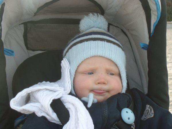 Bild zu