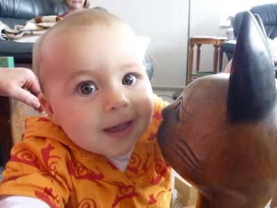 Bild zu 