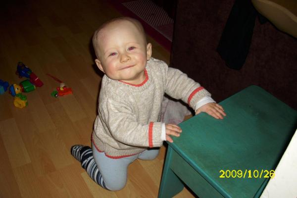 Bild zu