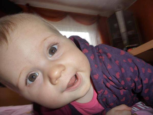 Bild zu