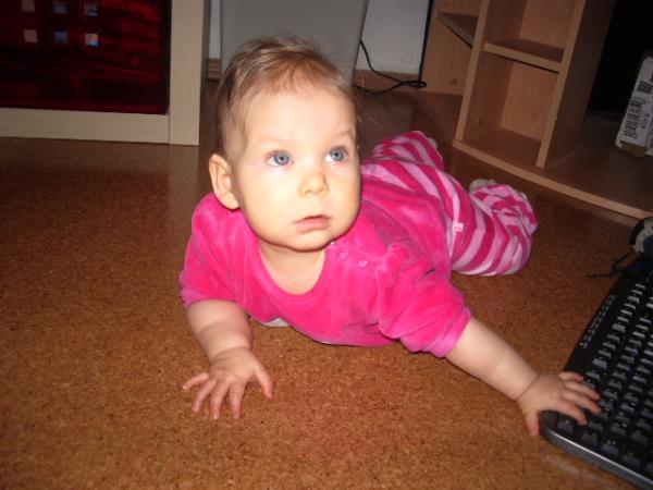 Bild zu 