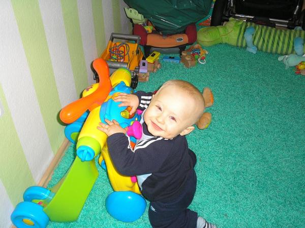 Bild zu