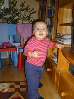 Bild zu