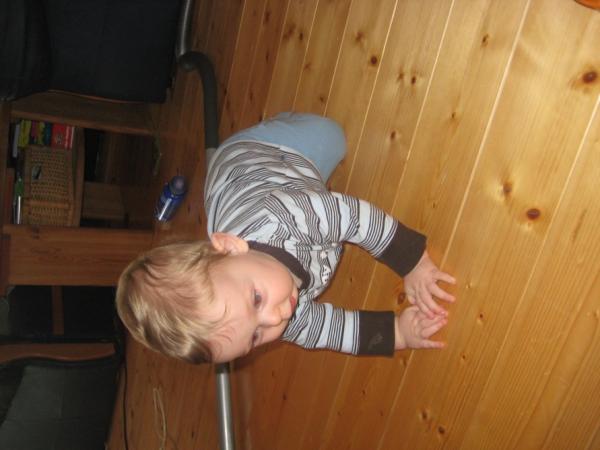 Bild zu 