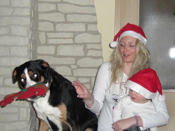 Bild zu Weihnachtskarten - Forum für März - Mamis