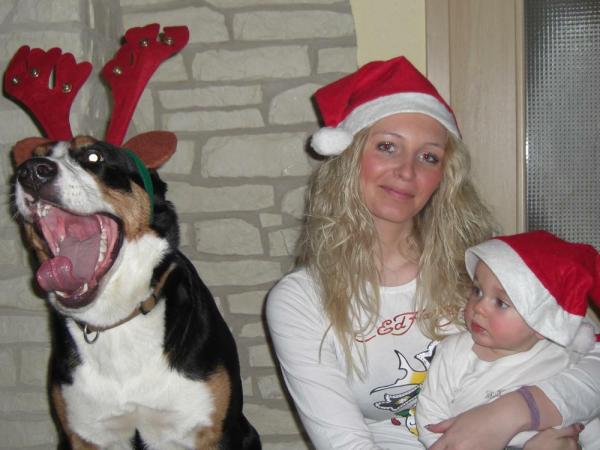 Bild zu 