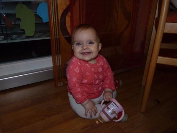Bild zu